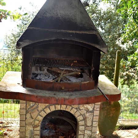 Agriturismo Podere Biancospino Piscina Privata キアンチャーノ・テルメ エクステリア 写真