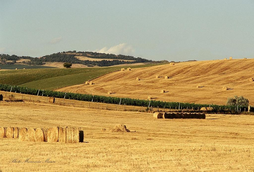Agriturismo Podere Biancospino Piscina Privata キアンチャーノ・テルメ エクステリア 写真